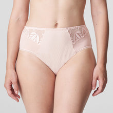 Load image into Gallery viewer, These luxurious and opaque high-waisted briefs feature decorative lace embroidery. Full back for coverage with a lace trim seam free finish.