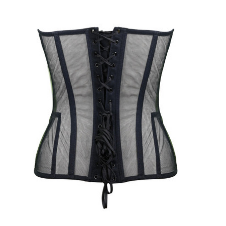 Black corset with sheer panels on a white background, cups are not see thought - bak is lace up, zip on the side.