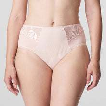 Load image into Gallery viewer, These luxurious and opaque high-waisted briefs feature decorative lace embroidery.  Full back for coverage with a lace trim seam free finish. 
